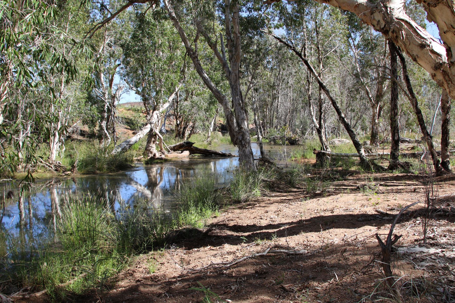Image of a water body in native Australia